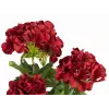 EUROPALMS Gerânio artificial, vermelho escuro, 42 cm 82600112