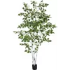 Bétula artificial EUROPALMS, 210 cm 82505232