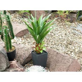 Agave em vaso EUROPALMS, planta artificial, 75cm 82600160
