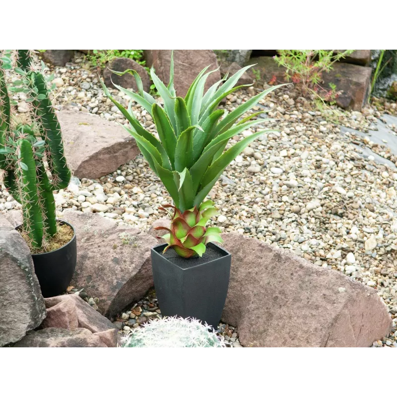 Agave em vaso EUROPALMS, planta artificial, 75cm 82600160