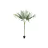 Planta artificial Areca deluxe EUROPALMS, 180cm 82509443