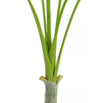 Planta artificial Areca deluxe EUROPALMS, 180cm 82509443