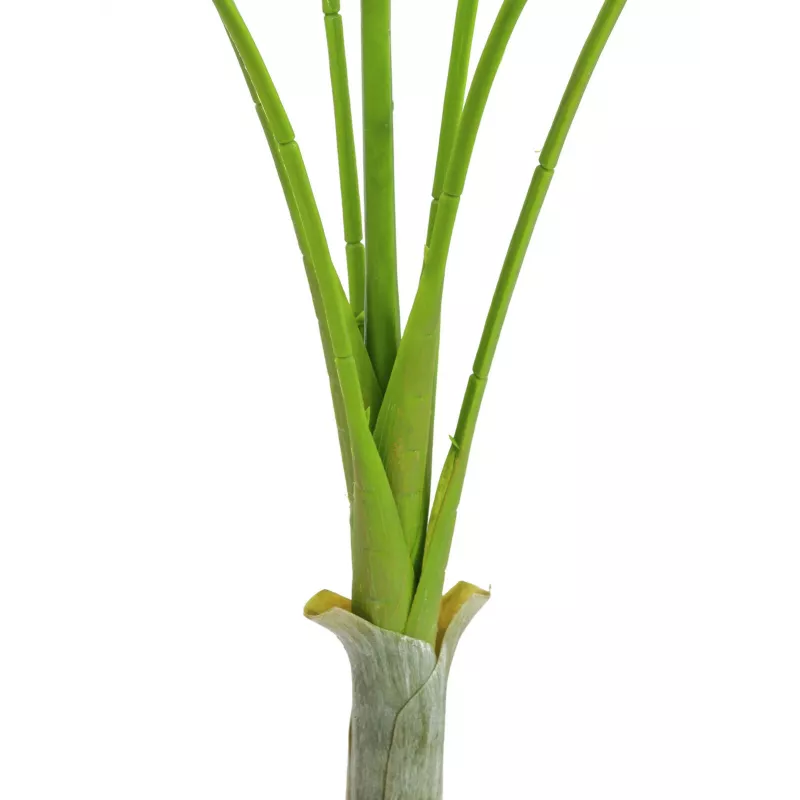 Planta artificial Areca deluxe EUROPALMS, 180cm 82509443