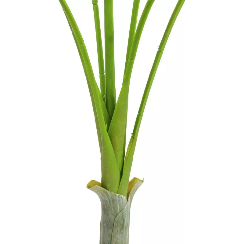 Planta artificial Areca deluxe EUROPALMS, 180cm 82509443