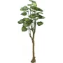 Árvore Pothos EUROPALMS planta artificial 175cm 82600163