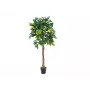 Limoeiro artificial EUROPALMS, 180cm 82507816
