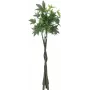 Árvore do dinheiro Pachira artificial EUROPALMS, 160cm 82600165