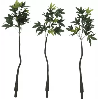 Árvore do dinheiro Pachira artificial EUROPALMS, 160cm 82600165