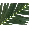 Folha de palmeira de coco artificial EUROPALMS, 150 cm 82509845