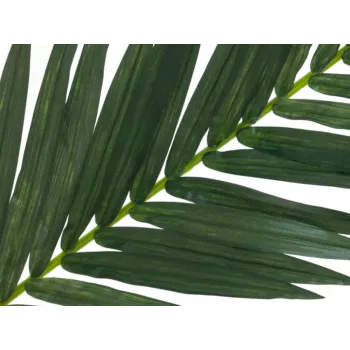 Folha de palmeira de coco artificial EUROPALMS, 150 cm 82509845
