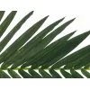 Folha de palmeira de coco artificial EUROPALMS, 150 cm 82509845
