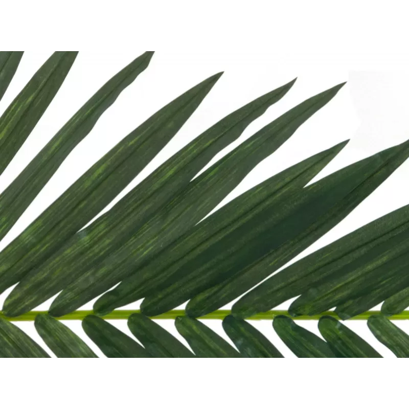 Folha de palmeira de coco artificial EUROPALMS, 150 cm 82509845