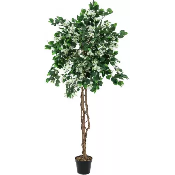 Planta artificial Bougainvillea EUROPALMS, branca, 150cm 82507085