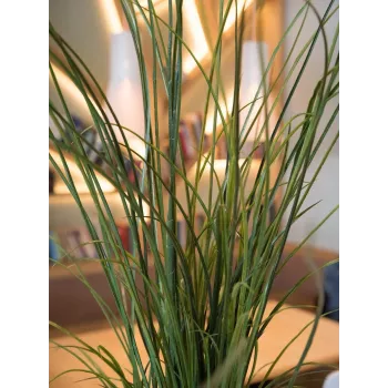 Erva de caniço artificial EUROPALMS, 145cm, verde/castanho, pré-envasada 82600229