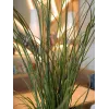 Erva de caniço artificial EUROPALMS, 145cm, verde/castanho, pré-envasada 82600229