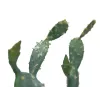 EUROPALMS Cato de folhas artificial, 76 cm, em vaso, verde 82600064