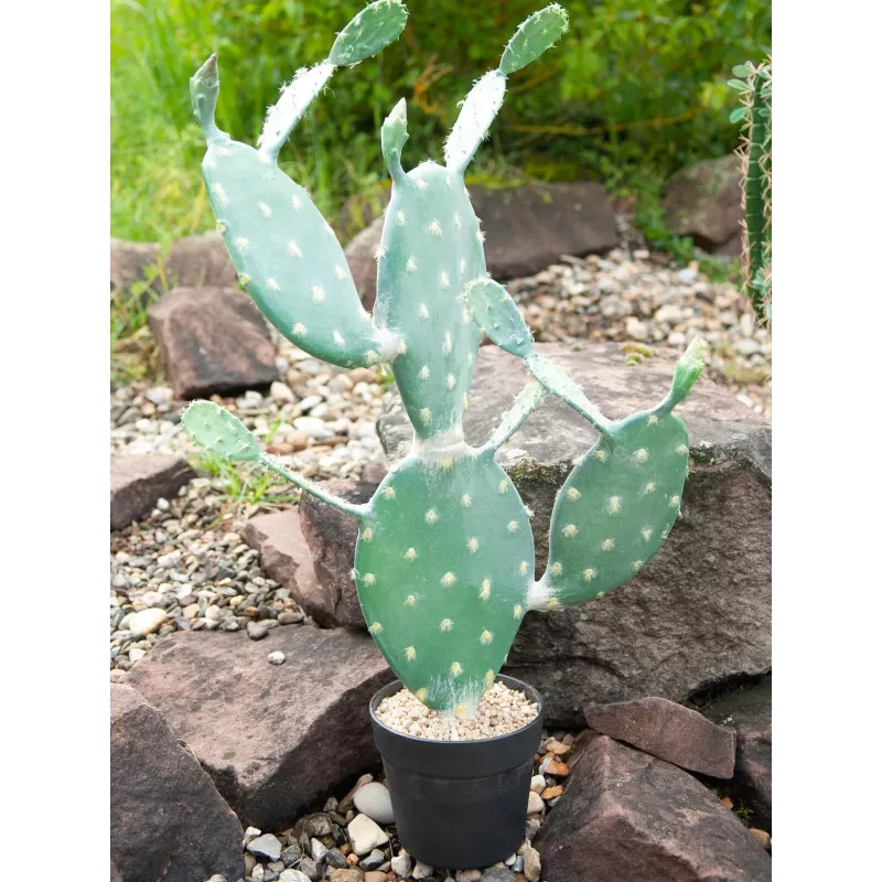 EUROPALMS Cato de folhas artificial, 76 cm, em vaso, verde 82600064