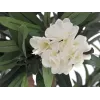 EUROPALMS Oleandro, planta artificial, branco, 120 cm (82507246)