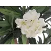 EUROPALMS Oleandro, planta artificial, branco, 120 cm (82507246)