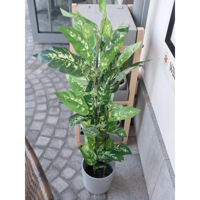 EUROPALMS Planta artificial Dieffenbachia 120cm 82508306