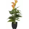 EUROPALMS Planta artificial Calla mini, amarelo-laranja, 43 cm 82540346