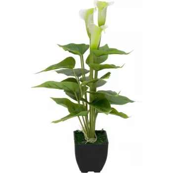 EUROPALMS Calla mini Planta artificial de cala, branco, 43 cm 82540347