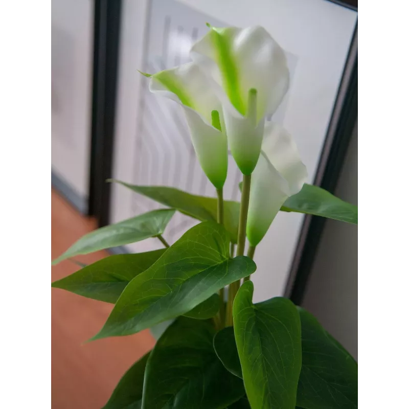 EUROPALMS Calla mini Planta artificial de cala, branco, 43 cm 82540347