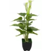 EUROPALMS Calla mini Planta artificial de cala, branco, 43 cm 82540347