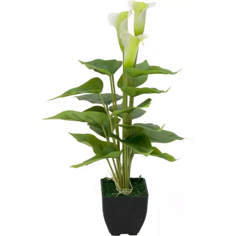 EUROPALMS Calla mini Planta artificial de cala, branco, 43 cm 82540347