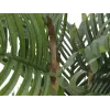 EUROPALMS Palmeira Kentia artificial 140cm 82511361