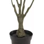 EUROPALMS Planta artificial Dracaena, verde-vermelho, 90cm 82505778