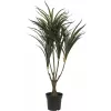 EUROPALMS Planta artificial Dracaena, verde-vermelho, 90cm 82505778