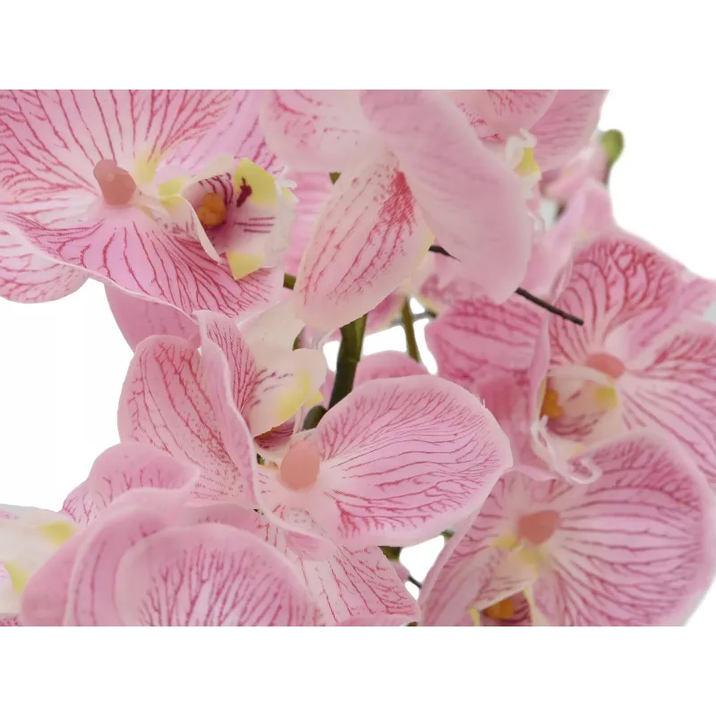 EUROPALMS Arranjo de orquídeas (EVA), artificial, violeta (82530339)