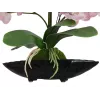 EUROPALMS Arranjo de orquídeas (EVA), artificial, violeta (82530339)
