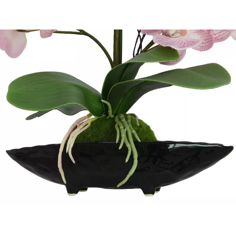 EUROPALMS Arranjo de orquídeas (EVA), artificial, violeta (82530339)