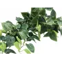 EUROPALMS Pothos Sebe de privacidade Classic, artificial, 100cm 82502203