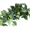 EUROPALMS Pothos Sebe de privacidade Classic, artificial, 100cm 82502203