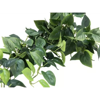 EUROPALMS Pothos Sebe de privacidade Classic, artificial, 100cm 82502203
