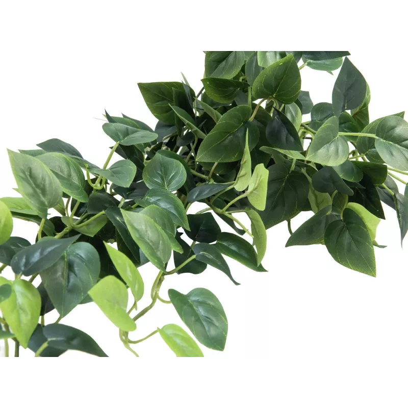 EUROPALMS Pothos Sebe de privacidade Classic, artificial, 100cm 82502203
