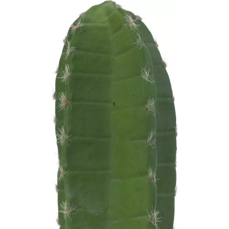 EUROPALMS Cato mexicano Planta artificial, verde, 97 cm 82801070
