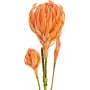EUROPALMS ramo de dália artificial (EVA), laranja 82530582