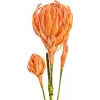 EUROPALMS ramo de dália artificial (EVA), laranja 82530582