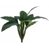 EUROPALMS Arbusto de acelga artificial, 45cm, verde 82508302