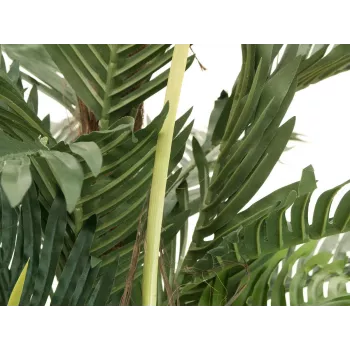 EUROPALMS Palmeira Kentia Planta artificial 180cm 82511367