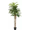 EUROPALMS Palmeira Kentia Planta artificial 180cm 82511367