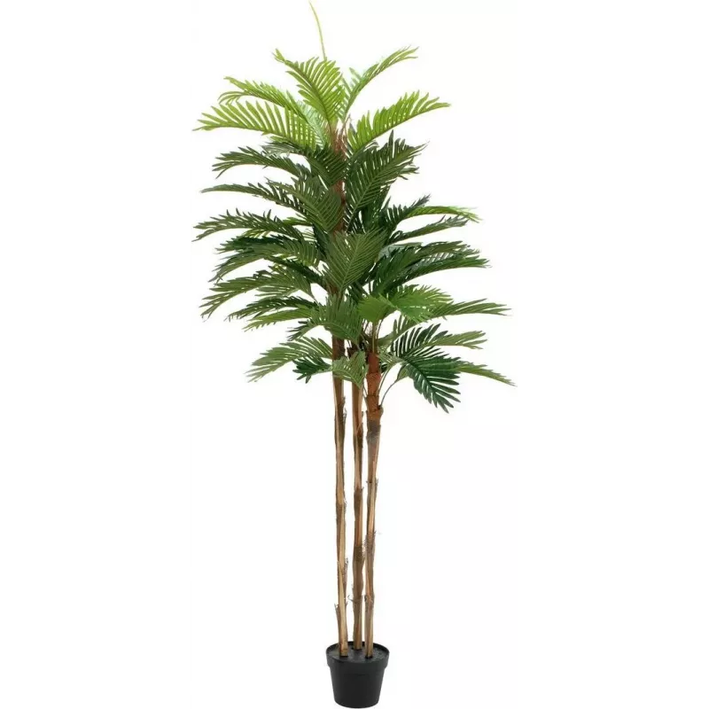 EUROPALMS Palmeira Kentia Planta artificial 180cm 82511367