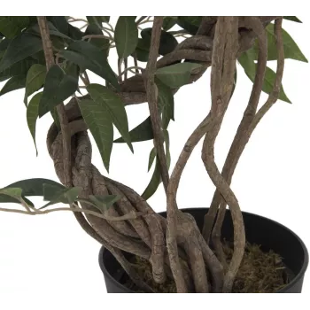 EUROPALMS Ficus Multi Spiral Trunk Planta artificial, 130cm 82806314