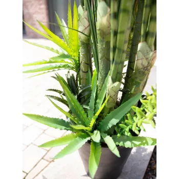 EUROPALMS Mistura de suculentas Planta artificial, 190cm 82600035