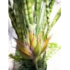 EUROPALMS Mistura de suculentas Planta artificial, 190cm 82600035
