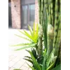 EUROPALMS Mistura de suculentas Planta artificial, 190cm 82600035
